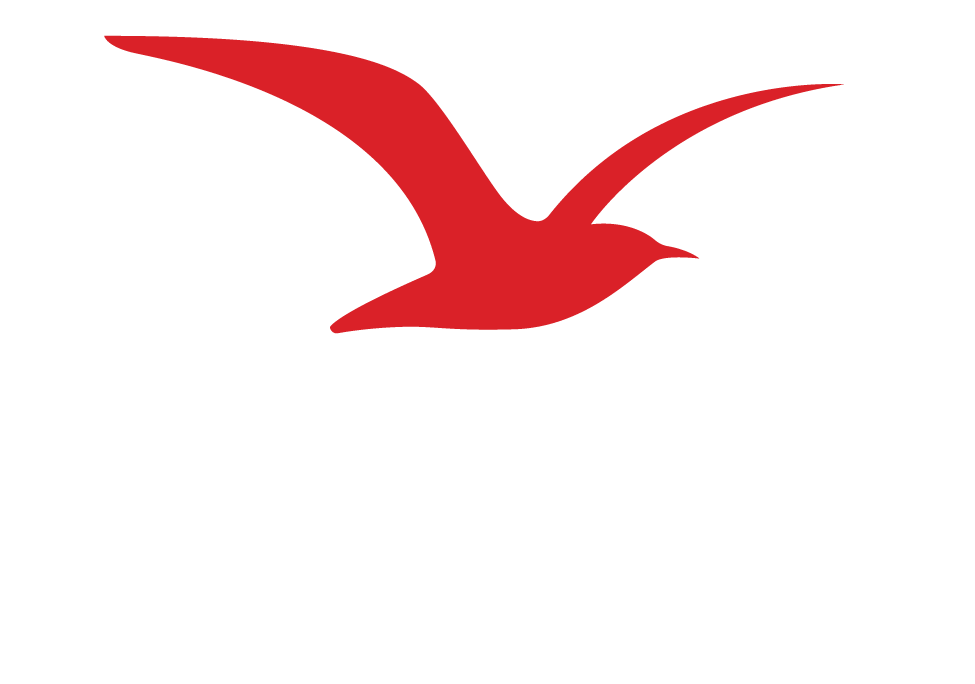 logo ancv cv ptl blanc